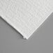 A white sheet of Pitco envelope style filter paper.