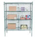 A Regency green wire security cage kit holding boxes and a shelf behind a wire fence.