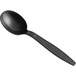 A black plastic Visions soup spoon with a handle.