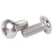 A close-up of two stainless steel screws.