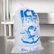 A clear plastic ice bag with blue text reading "Ice" on it.