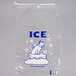A clear plastic drawstring ice bag with a polar bear graphic.