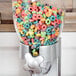 A Zevro single canister dry food dispenser filled with colorful cereal on a counter.