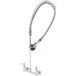 A silver T&S chrome wall-mounted pre-rinse faucet with a flexible hose.