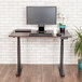 A Luxor electric adjustable standing desk with a computer and a plant on it.
