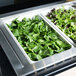 A white plastic food pan with lettuce and spinach on a salad bar counter.