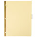 Avery Buff paper dividers with clear tabs in a yellow file with holes.