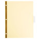 A white sheet of paper with yellow trim and holes in it.