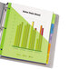A green binder with Avery 5-tab dividers holding a chart.