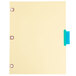A close up of Avery Big Tab multi-color folder dividers with copper reinforcements on a white paper.