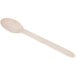 A Eco-gecko disposable wooden spoon with a white handle.