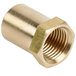 A gold brass nut with a threaded end.