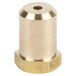 A gold metal nut with a threaded hole.
