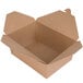 A brown cardboard Fold-Pak Bio-Plus-Earth take-out box with the lid open.
