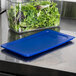 A blue plastic lid on a container of lettuce.