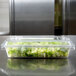 A clear Rubbermaid food storage box filled with lettuce.
