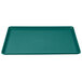 A teal rectangular tray with a handle.