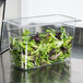 A Cambro clear polycarbonate food pan filled with lettuce on a counter.