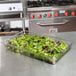 A clear plastic food pan with green lettuce on a kitchen counter.
