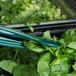 A pair of green Thunder Group tongs holding a bunch of spinach leaves.