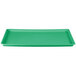 A green rectangular Winholt display tray with a handle.