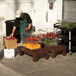 A man in a green apron using a Cambro brown solid top bow tie dunnage rack to store tomatoes.