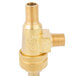 A brass Cooking Performance Group control valve with a threaded nozzle.