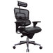 A black Eurotech Seating Ergohuman office chair with mesh back.