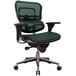 A green Eurotech Ergohuman office chair with mesh back and arms.