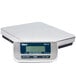 An Edlund stainless steel digital pizza scale with a digital display.