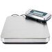 An Edlund stainless steel digital pizza scale on a white surface.