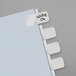 A close-up of a white file with Redi-Tag white plastic tabs on the side.