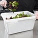 A person holding a white Choice plastic food storage box filled with green and red lettuce over a salad.
