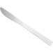 A silver stainless steel Windsor dinner knife with a white background.