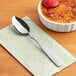 A Choice Delmont stainless steel medium weight dinner/dessert spoon on a napkin next to a dessert dish.
