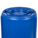 A blue Rubbermaid BRUTE 55 gallon plastic container with a lid.