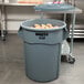 A Rubbermaid BRUTE 55 gallon gray trash can filled with potatoes.