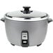 A silver Panasonic SR-42HZP rice cooker with a lid.