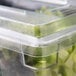 A Rubbermaid clear polycarbonate food storage box lid on a plastic container filled with lettuce.