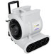 A white ProTeam air blower with black telescoping and daisy chain handles.