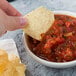 A hand holding a chip dipping into a bowl of salsa.