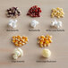 A variety of Carnival King popcorn kernels on a white background.