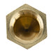 A close-up of a brass threaded hexagon nut.