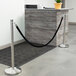 A Lancaster Table & Seating silver crowd control stanchion with black rope wrapped around a plant.