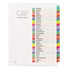 A white folder with Avery multi-color customizable tabs.