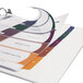 A white binder with Avery Ready Index multi-color plastic table of contents dividers.