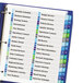 A blue binder with Avery Ready Index multi-color tabs.