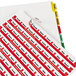 A close-up of a white and red lined paper with several colorful Avery Index Maker tabs.
