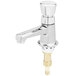 A T&S chrome metering faucet with a silver push button cap and gold nut.