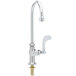 A chrome T&S deck-mounted pantry faucet with a gooseneck spout and wrist handle.